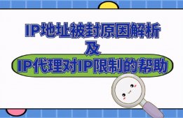 IP地址被封原因解析及IP代理对IP限制的帮助