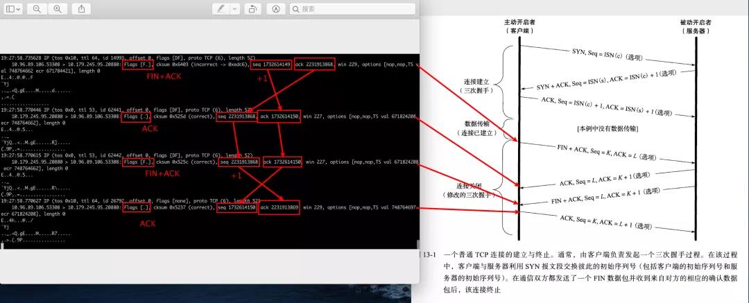 四个实验，彻底搞懂TCP连接的断开