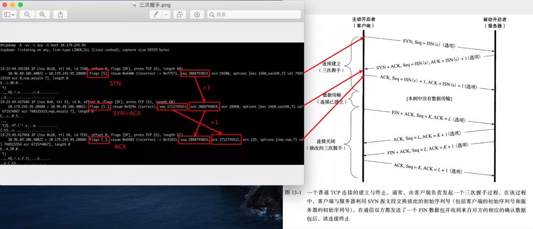 四个实验，彻底搞懂TCP连接的断开