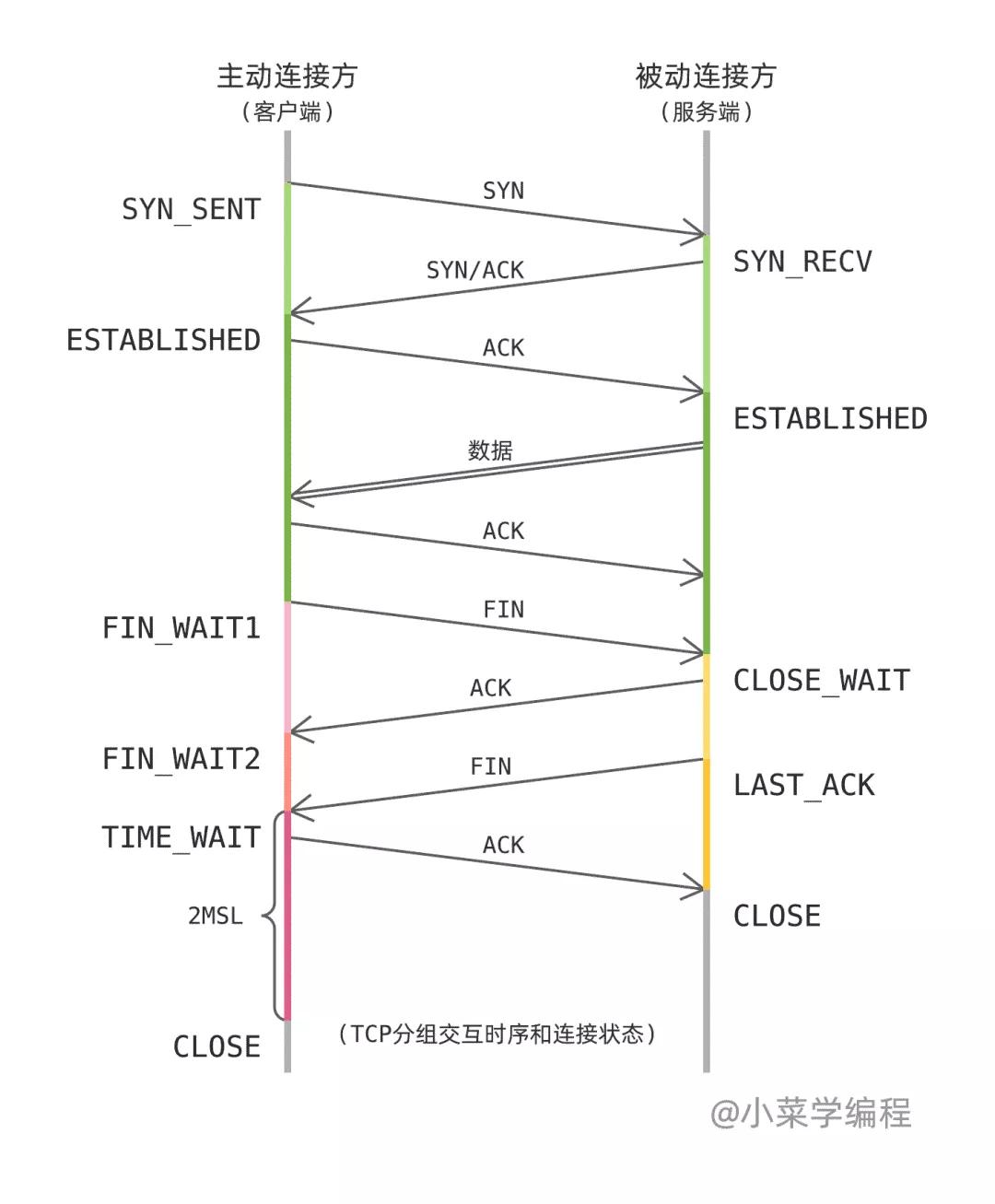 四次挥手，TCP连接的关闭